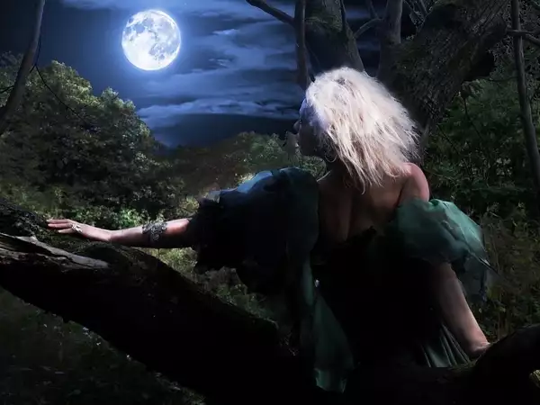 A person in a woodland setting looks at the moon with their back to the viewer.