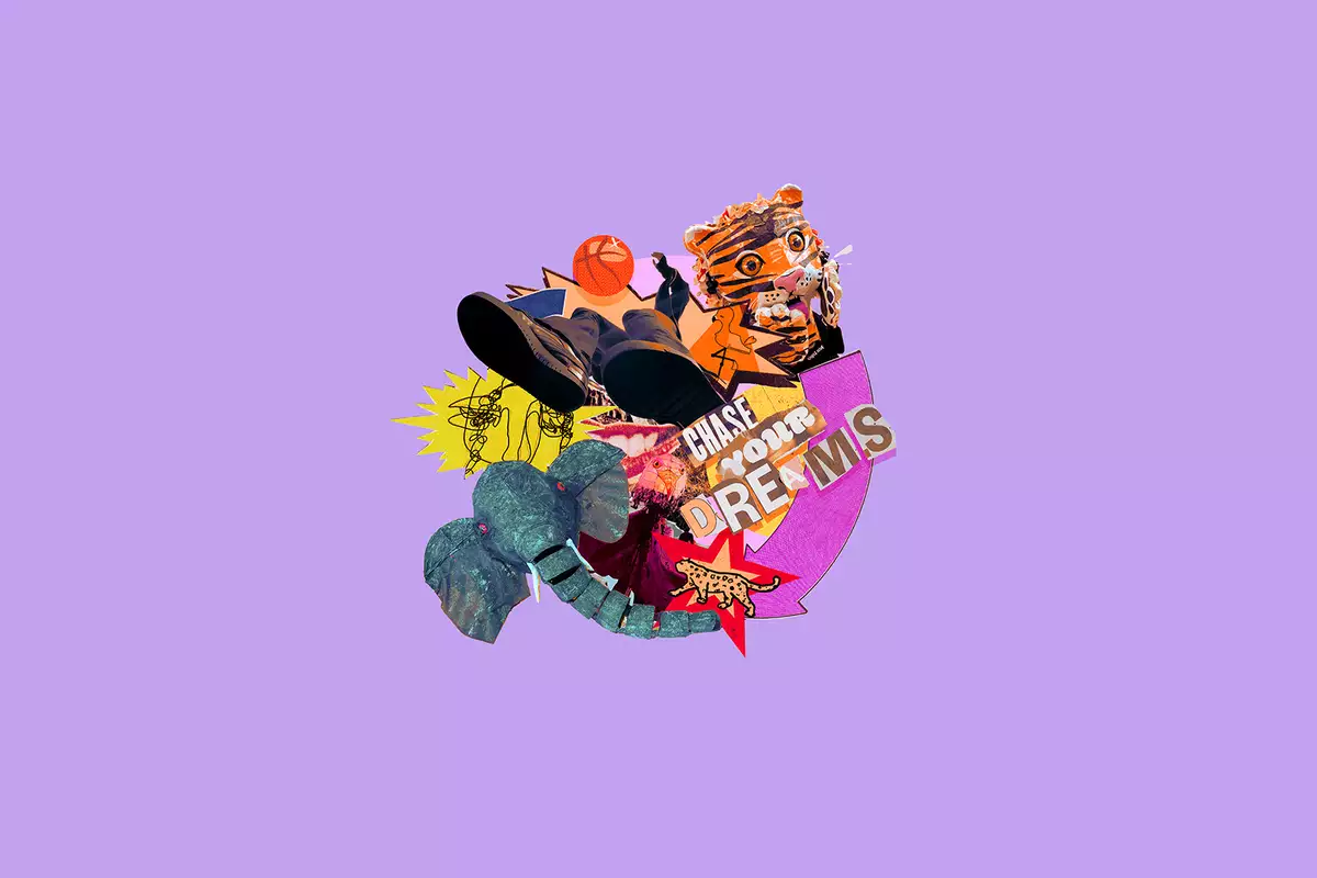A collage of images on a light purple background – with the words 'Chase Your Dreams' in the middle. The images include an elephant, a tiger and a child playing basketball.