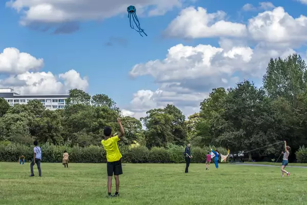 A boy in a green t-shirt with his back to the camera flies a kite in a park. The sky is blue with some clouds and in the background other people are looking up at the kite.