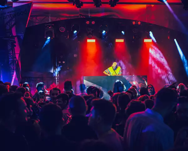 A crowd watch a DJ on stage