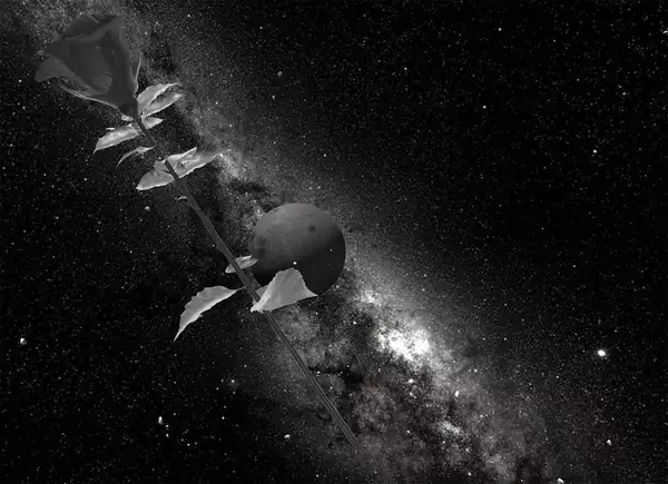 A black and white, computer generated 3D image showing a rose stem in front of the moon, against a backdrop of a galaxy