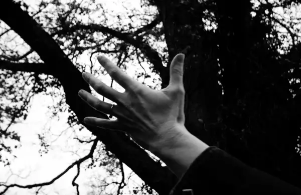 Black and white photo of a hand stretched out in front of a tree